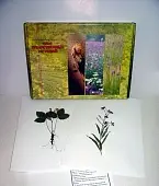 Гербарий "Лекарственные растения" (20 видов) формат А-3