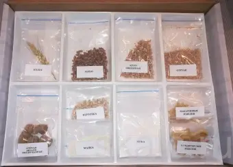 Коллекция "Пшеница и продукты ее переработки"