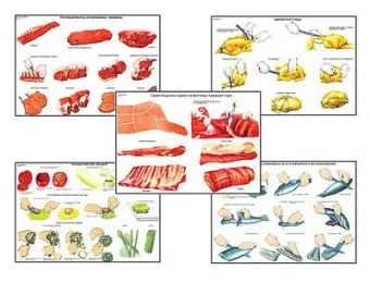 Плакаты ПРОФТЕХ "Первичная обраб. продуктов и приготовление полуфабрикатов" (15 пл, винил, 70х100)
