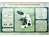 Электрифицированный стенд "Устройство микроскопа и правила работы c ним"