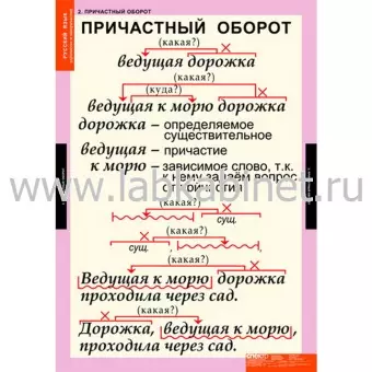 Русский язык. Причастие и деепричастие, 12 таблиц