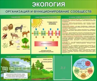 Стенд "Экология Организация и функционирование сообществ" 1.2x1