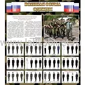 Военная форма одежды (флаг РФ), 0,8х0,9