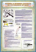 Основы и правила стрельбы из стрелкового оружия 0,69х1