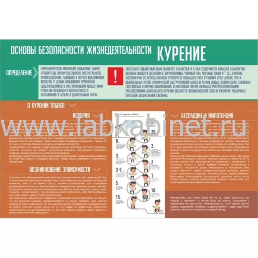 Курение 1,3×0,9 м — наглядное пособие по профилактике курения для образовательных учреждений