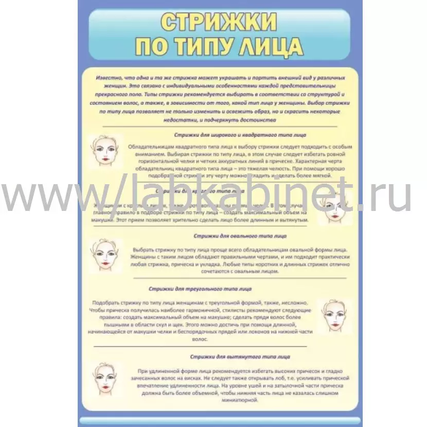 Таблица «Стрижки по типу лица» для учебных занятий, размер 0,6×0,9 м