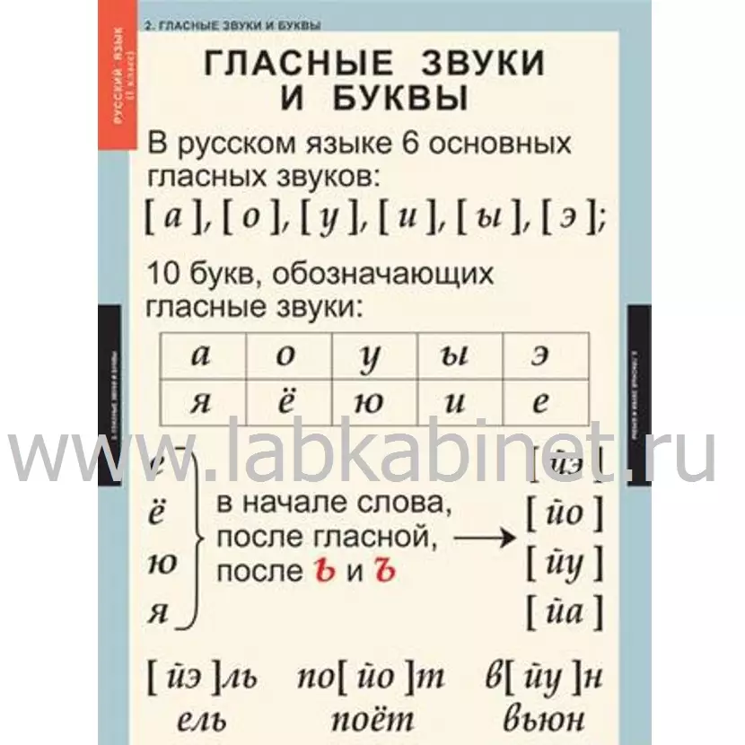 Таблицы «Русский язык» для 1 класса, комплект из 10 таблиц