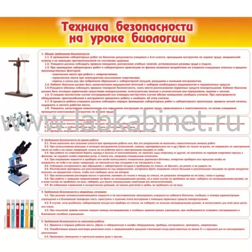 Техника безопасности на уроках биологии, 1*0,9