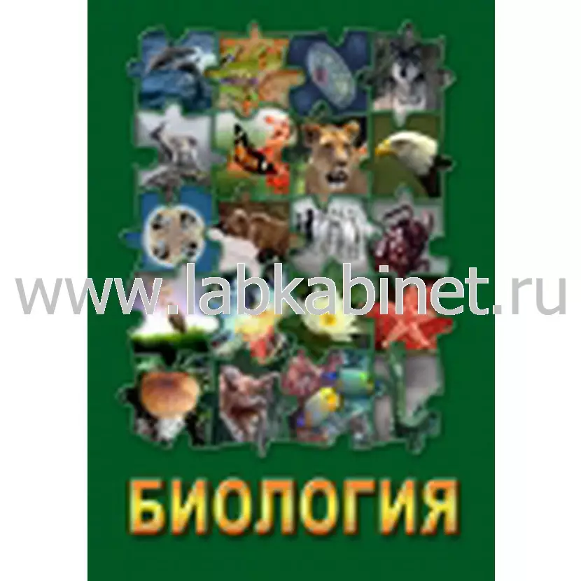 Видеофильм «Биология 3» для проведения учебных занятий