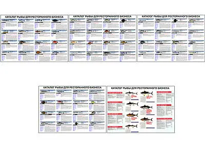 Плакаты ПРОФТЕХ "Каталог рыб для ресторанного бизнеса" (5 пл, винил, 70х100)