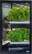 Настольная цифровица Greenbar XX1 для демонстрационных и учебных задач