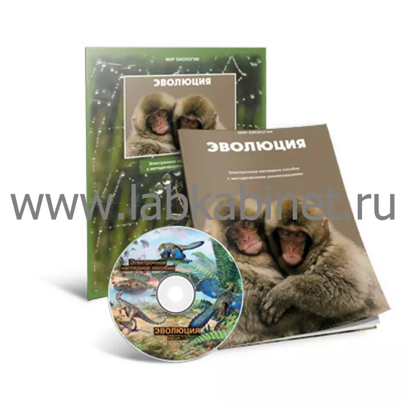 Эволюция, Электронное наглядное пособие