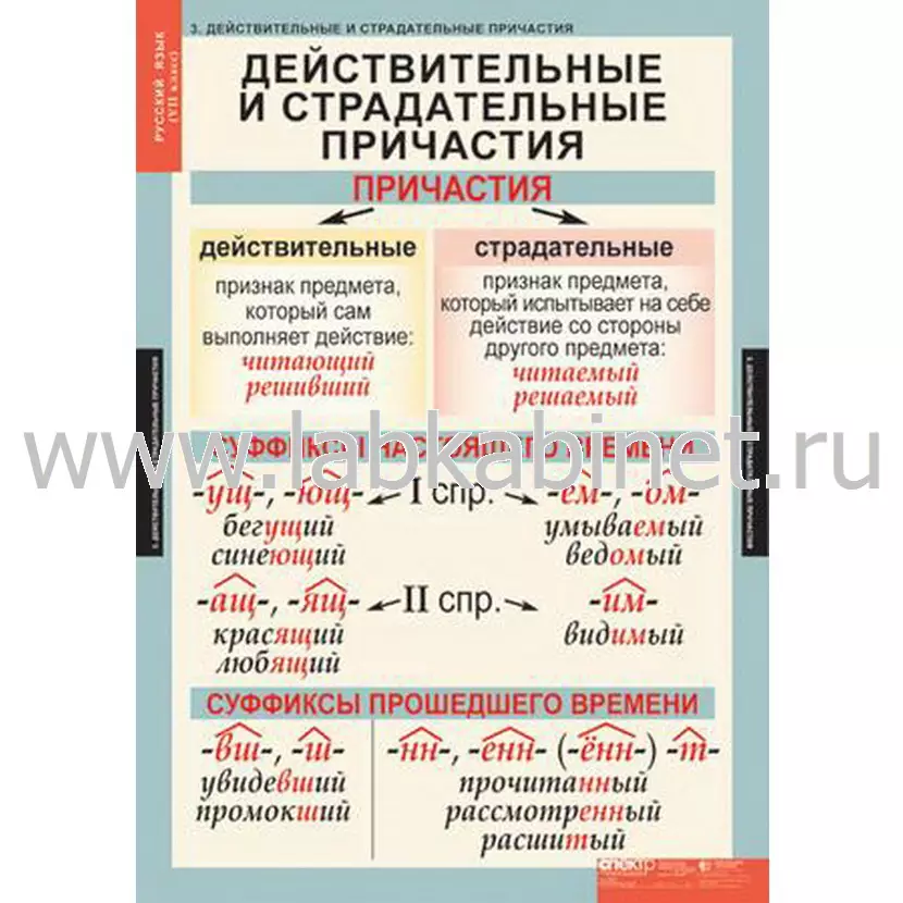 Таблицы «Русский язык» для 7 класса, комплект из 7 таблиц