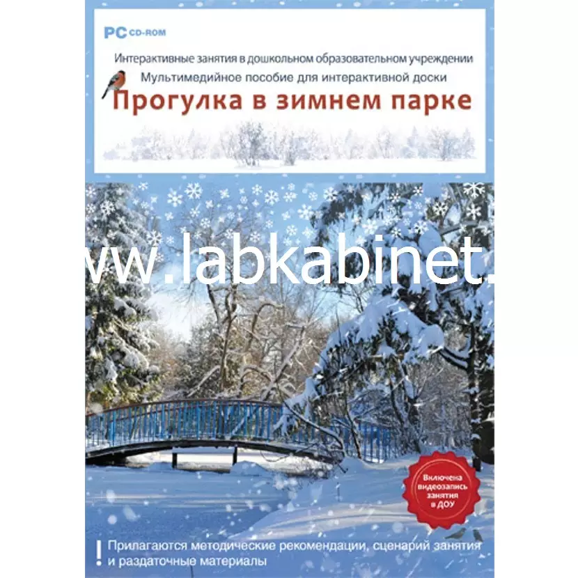 Интерактивное учебное пособие. "Прогулка в зимнем парке (DVD-Box)".