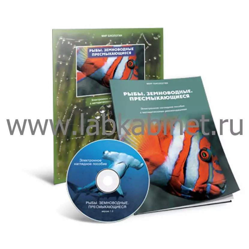 Электронное наглядное пособие, Рыбы. Земноводные. Пресмыкающиеся.
