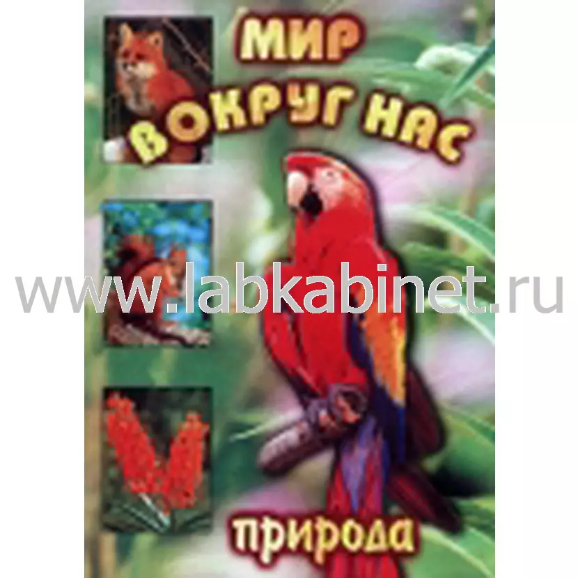 Учебный видеофильм «Мир вокруг нас. Природа» для занятий по окружающему миру