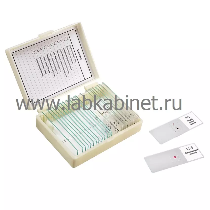 Набор препаратов Зоология (11 обр. для школы)
