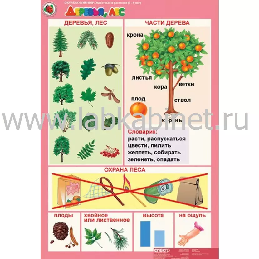 "Комплект таблиц Окружающий мир 5-6 лет. ""Животные и растения"". (12 таблиц+16 карт.) "