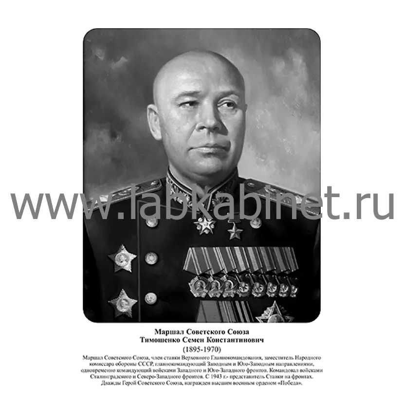 Портрет Семёна Тимошенко для кабинета истории и изучения выдающихся советских военачальников