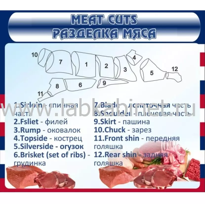 Плакат «Разделка мяса» для обучения основам технологии приготовления пищи, размер 90 × 80 см