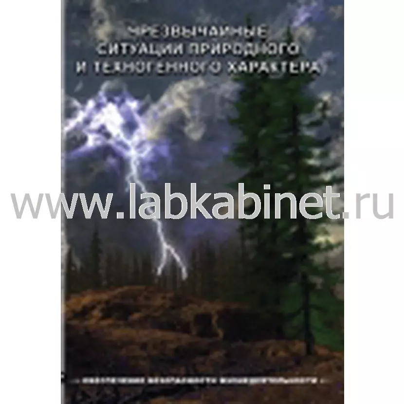Видеофильм ОБЖ. Чрезвычайные ситуации природного и техногенного характера