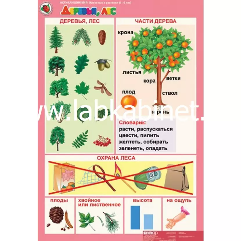 "Комплект таблиц Окружающий мир 5-6 лет. ""Я познаю мир"". (13 таблиц+16 карт.)"