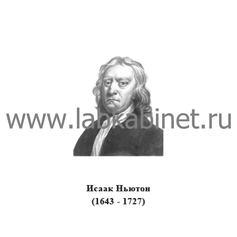 Портрет Исаака Ньютона для кабинета физики и изучения истории классической механики