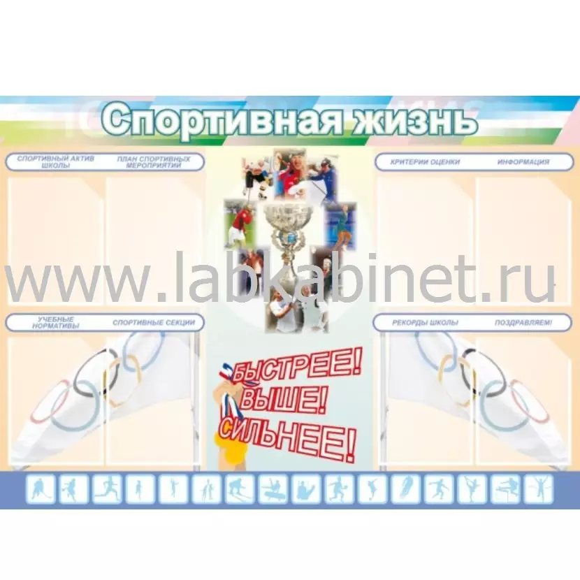 Спортивная жизнь №2, 1,4х1, 8 карманов А4
