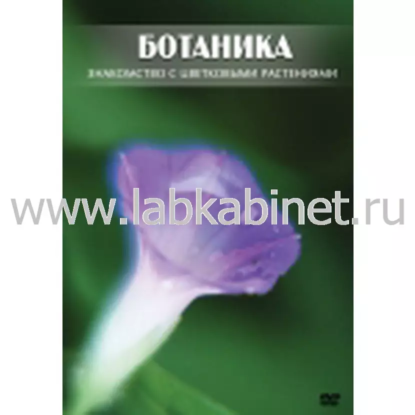Видеофильм Ботаника. Знакомство с цветковыми растениями