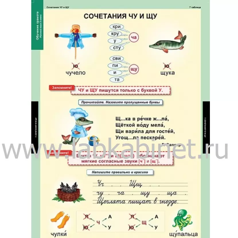 Таблицы «Обучение грамоте», 2 класс, комплект 16 таблиц