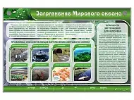 Интерактивный стенд "Загрязнение мирового океана"
