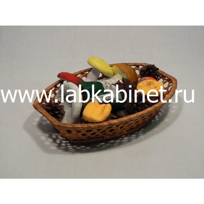 Муляжи «Корзина с грибами» для наглядного изучения грибов