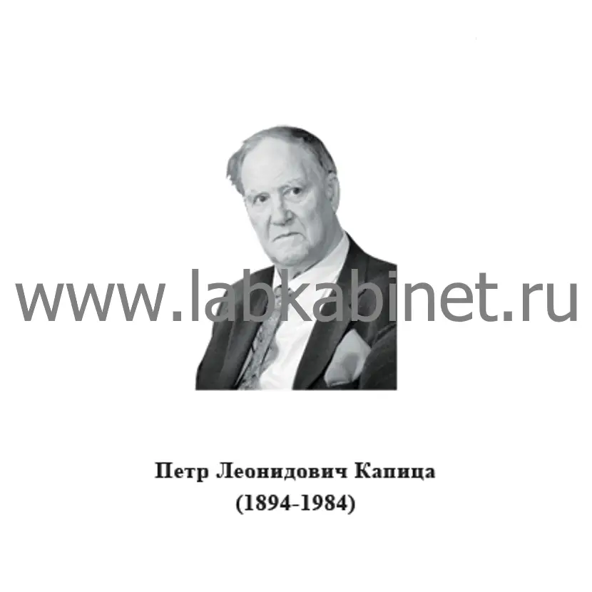 Портрет Петра Капицы для кабинета физики и изучения истории отечественной науки