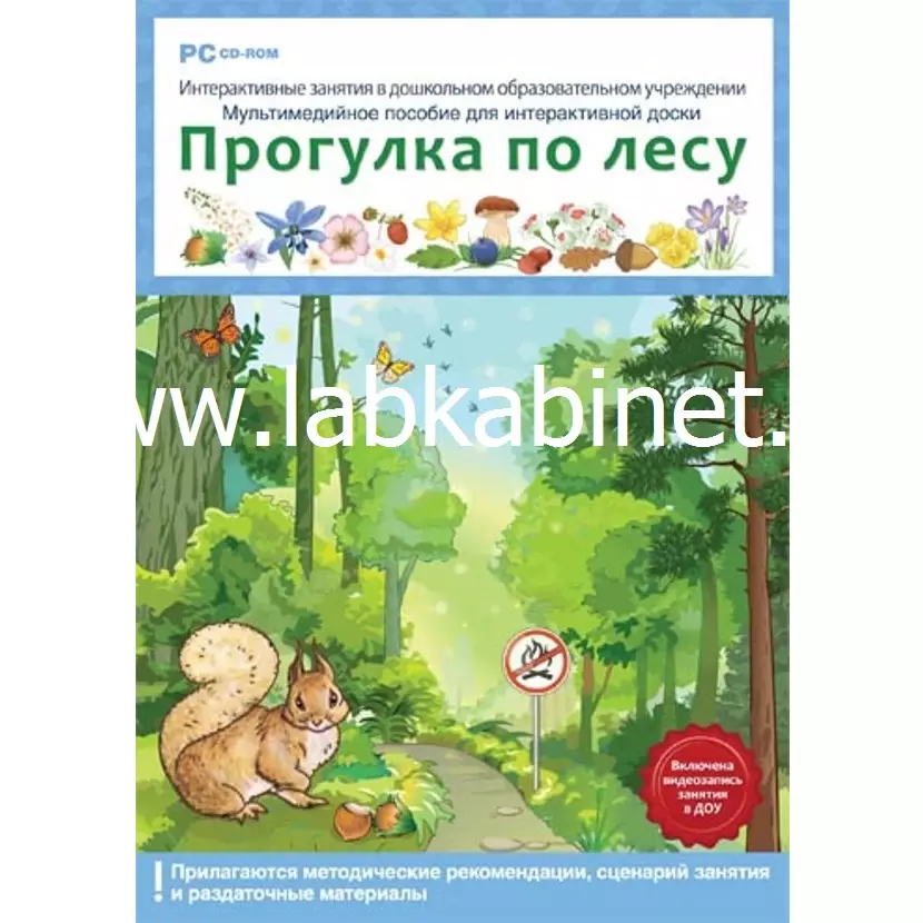 Интерактивные занятия в ДОУ. Прогулка по лесу (DVD-box)