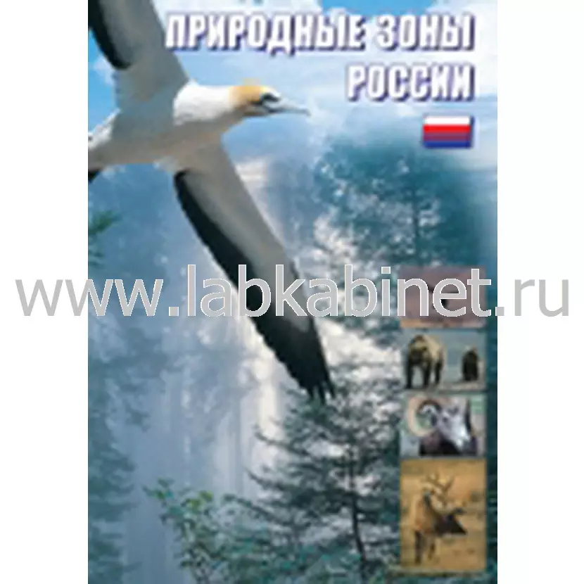 Учебный видеофильм «Природные зоны России» для занятий по географии