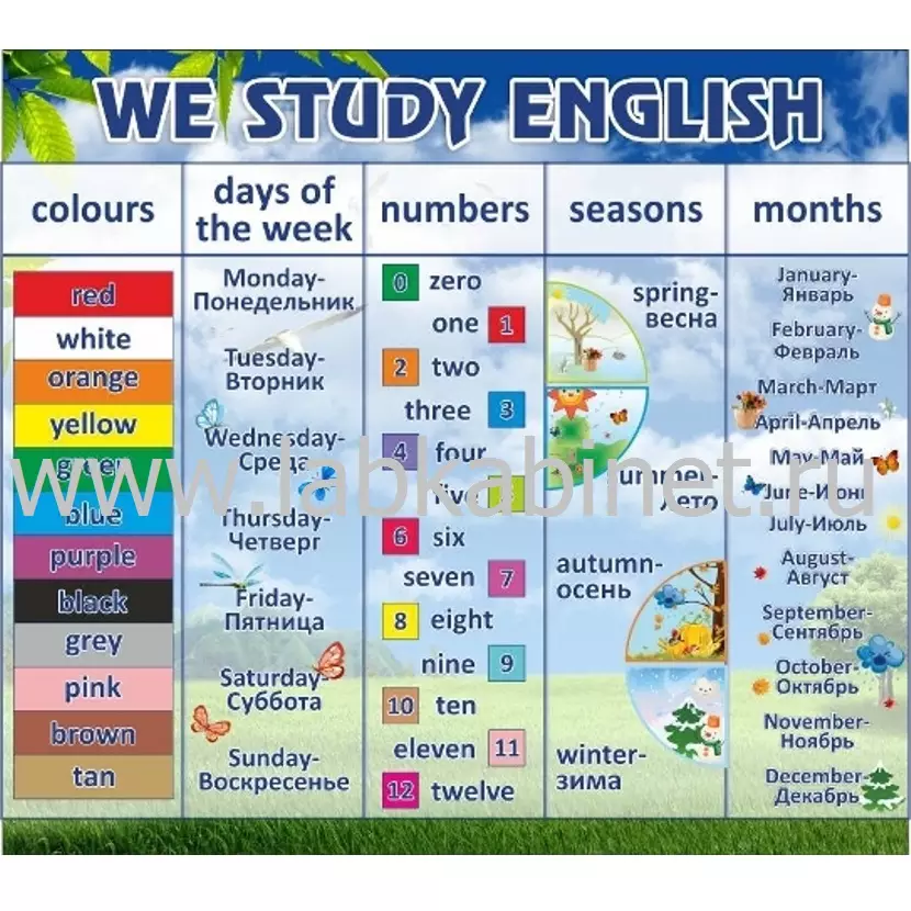 Плакат «We Study English» 80×90 см для изучения английского языка