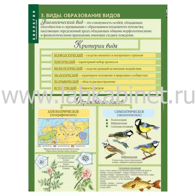 Биология 10-11 классы. Эволюционное учение, 10 таблиц