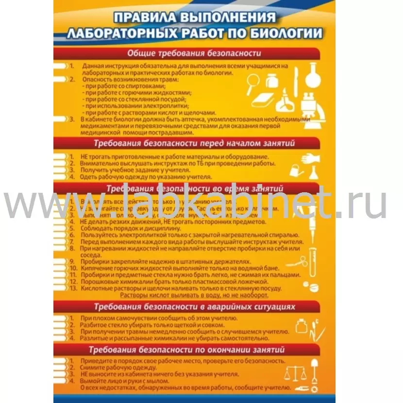 Правила выполнения лабораторных работ по биологии, 0,7*1
