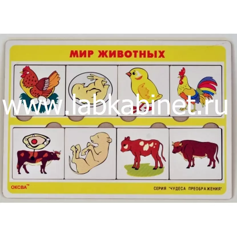 Игровые пазлы "Общеразвивающие игры. Чудеса преображений " Мир животных"