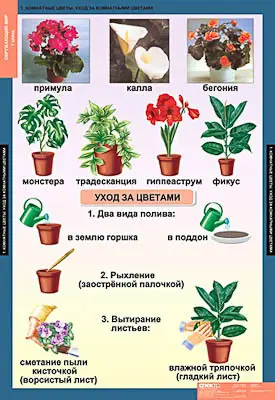 Таблицы демонстрационные "Окружающий мир 1 кл."