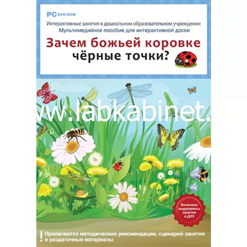 Интерактивное учебное пособие. Зачем божьей коровке чёрные точки?