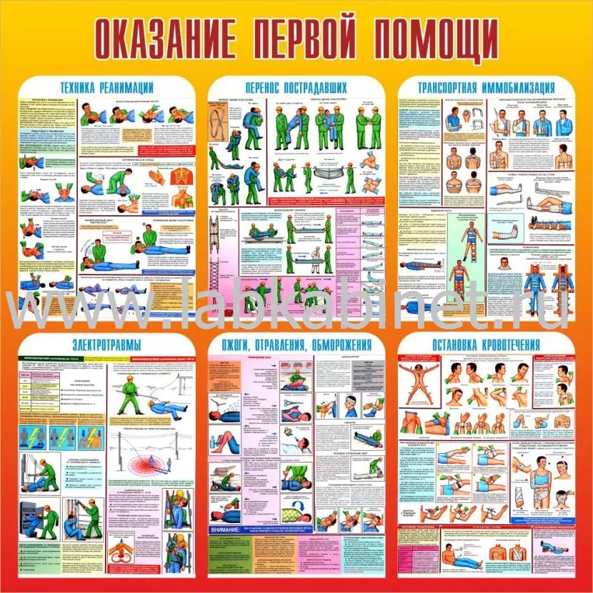 Плакат «Оказание первой помощи» размером 1 × 1 м для кабинета ОБЗР