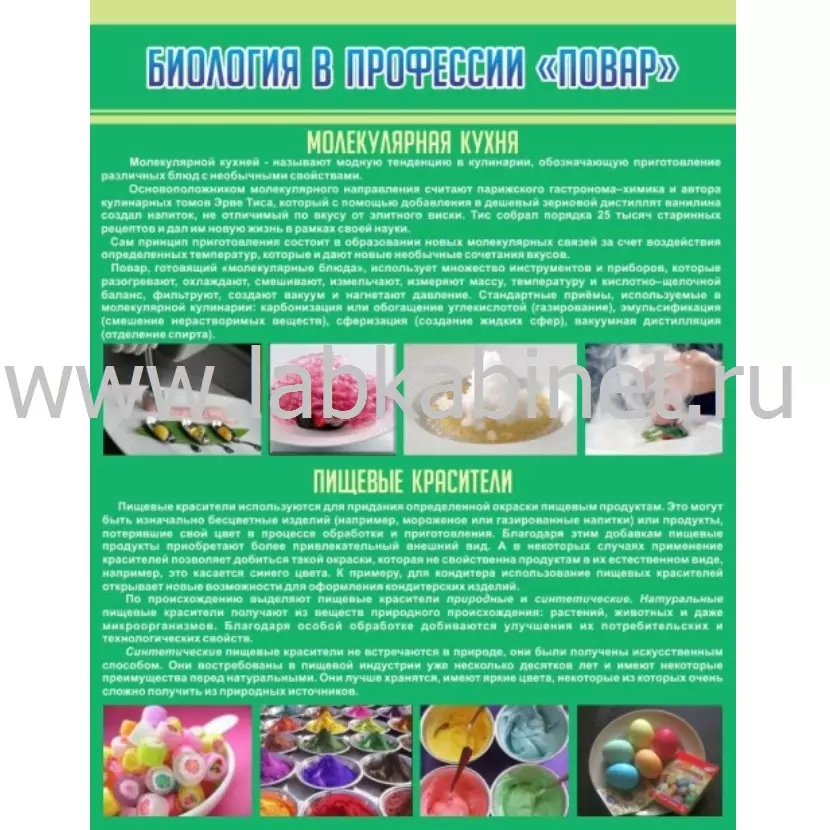 Учебный плакат «Биология в профессии. Повар» размером 0,7×0,9 м