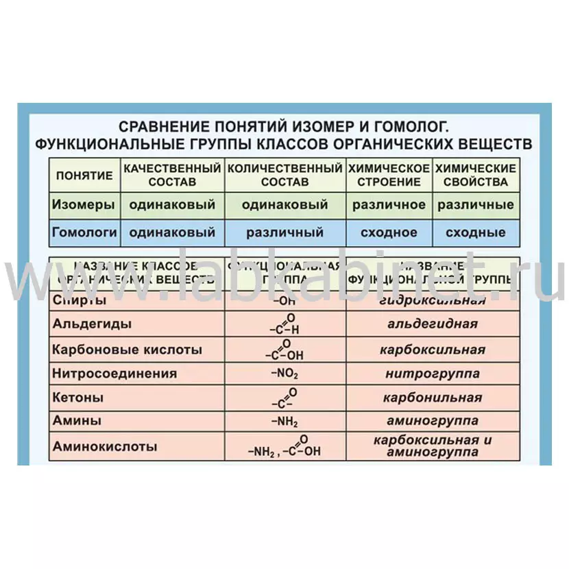 Сравнение   понятий изомер и гомолог. Функциональные группы классов органических веществ   (винил), 100х140см.
