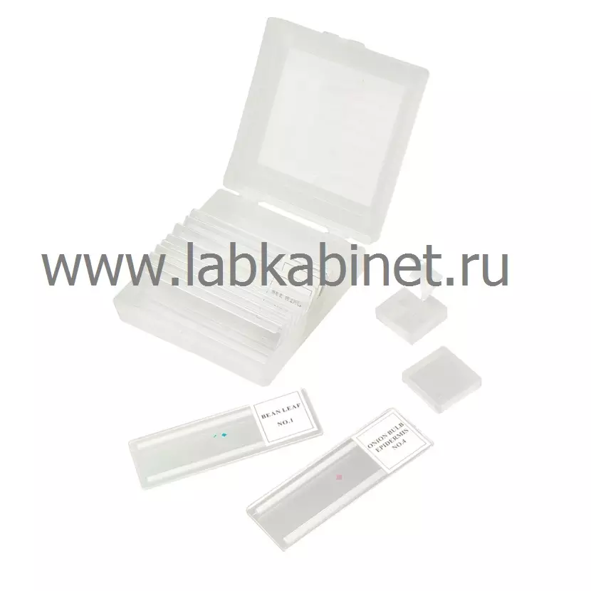 Микропрепараты 5 образцов + 5 предм. стёкол (пластик)