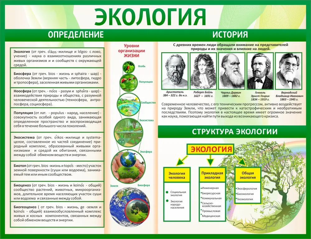 Стенд «Экология» для изучения вопросов охраны окружающей среды, размер 130 × 100 см