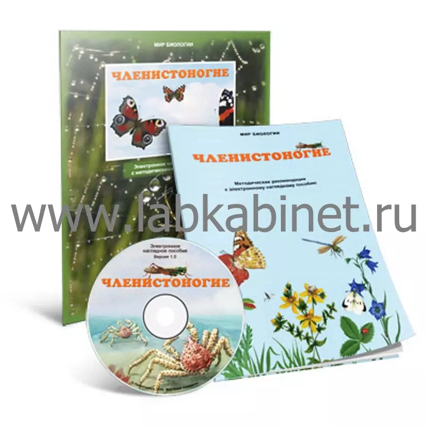 Членистоногие, Электронное наглядное пособие
