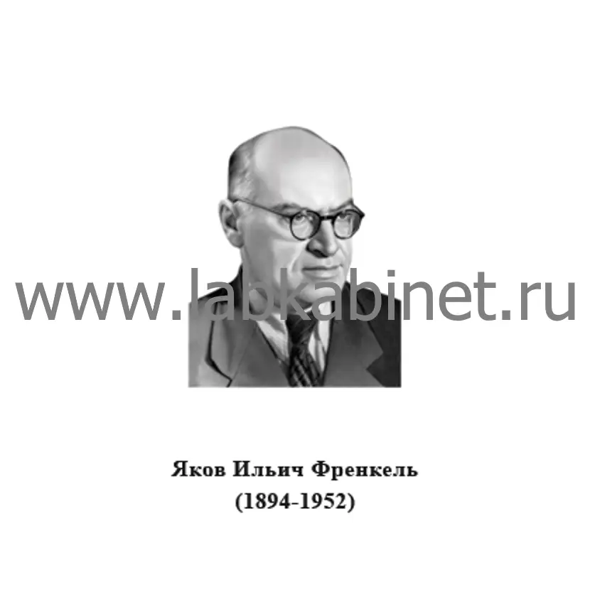 Портрет Якова Френкеля для кабинета физики и изучения истории физической науки