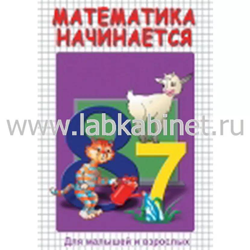 Видеофильм Математика начинается. Часть I