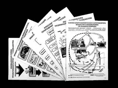 Комплект   таблиц по экологии "Экосистема-экологическая единица окружающей   среды" (ламинир, А4,12шт)